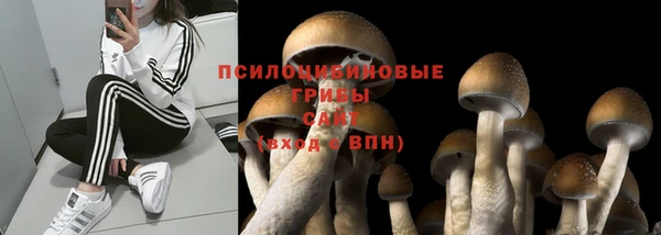 трава Абинск