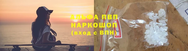 сатива Пролетарск