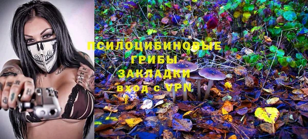 сатива Пролетарск