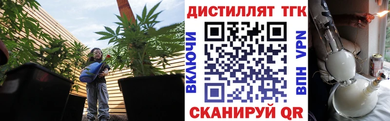 ТГК гашишное масло Вичуга