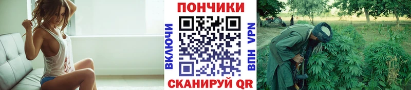 Шишки марихуана VHQ  цены   Вичуга 